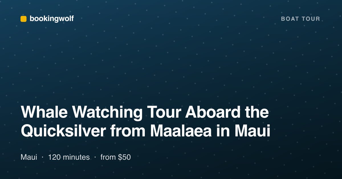 Whale Watching Tour Aboard the Quicksilver from Maalaea in Maui