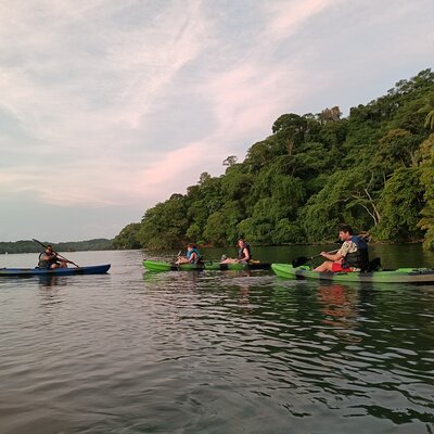 Bioluminescence Kayak tour Costa Rica
