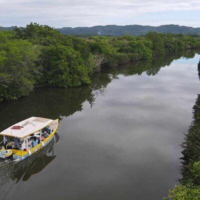 Scenic & Historical Nature Boat Safari Up the Negril River