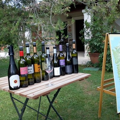 Sentire j. d. o. o. Sentire j. d. o. o. - Istria wine tours