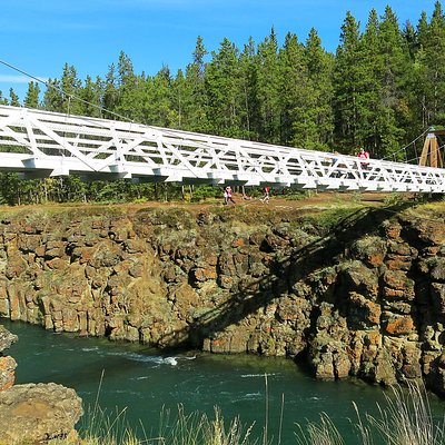 Arctic Day: Hiking Tour | half day