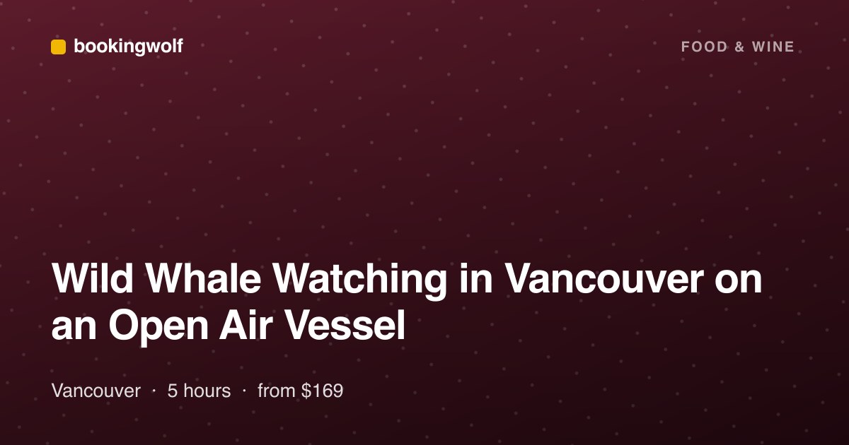 Wild Whale Watching in Vancouver on an Open Air Vessel