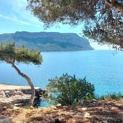 Happy Day In Provence