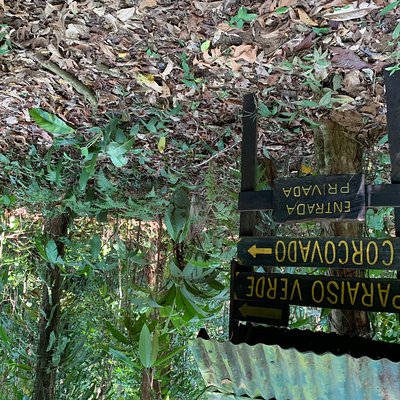 NativosCorcovado Tours and Travel