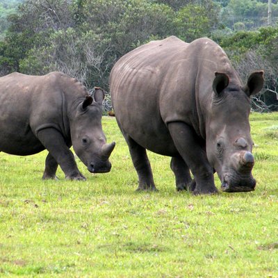 Addo Tours and Transfers