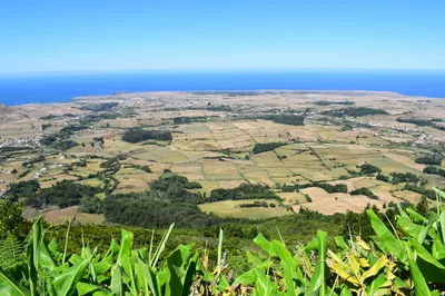 Madeira Small Group West Tour with Waterfalls, Fanal Forest & Porto Moniz Pools