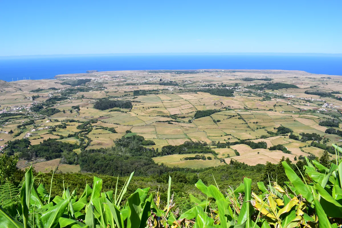 Madeira Small Group West Tour with Waterfalls, Fanal Forest & Porto Moniz Pools