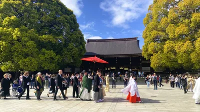 Tokyo Walking Tour of Meiji Shrine and Shinto Culture