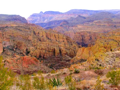 Sonoran Desert Jeep Tour in Scottsdale through Tonto National Forest