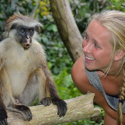 Private Tour to Jozani Forest Reserve Half-Day Guided Tour from Zanzibar
