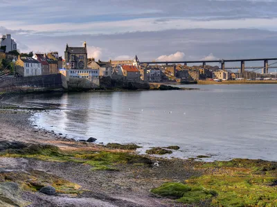 Edinburgh Three Bridges Cruise with Views of Inchcolm Island and Wildlife