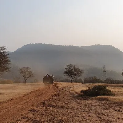 Ranthambore Official Guided Tiger Safari in Sharing Canter