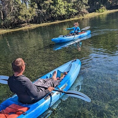 Crystal River Single Kayak Rental | 2 Hour | See The Manatees!