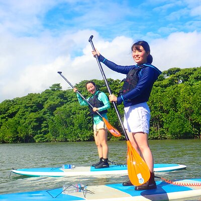 Okinawa Ishigaki Mangrove SUP or Canoe Tour