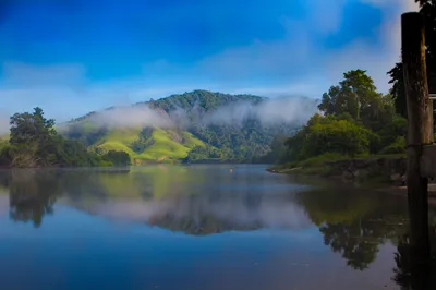 Daintree Rainforest Wildlife Experience Cruise