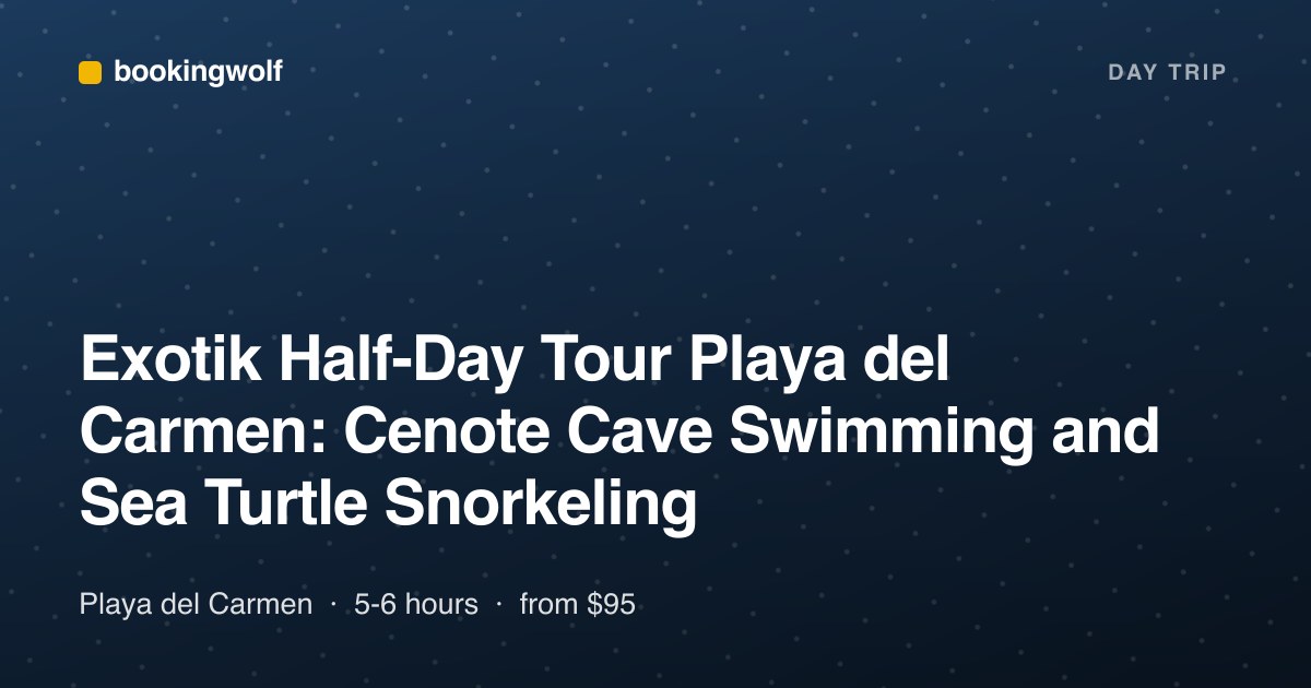 Exotik Half-Day Tour Playa del Carmen: Cenote Cave Swimming and Sea Turtle Snorkeling