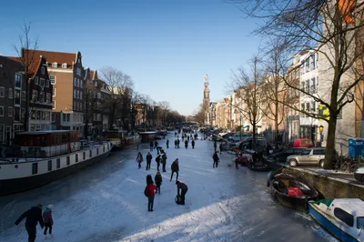 Eating Amsterdam: Jordaan Food Tour with Apple Pie, Cheese, Bitterballen and More