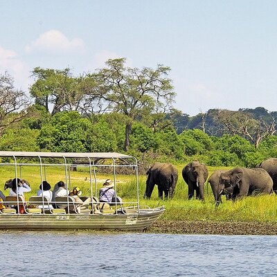 3 Hours Chobe River Boat Cruise