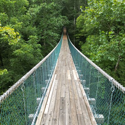 Hike explore and more in The Great Smoky Mountains