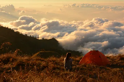 Tetebatu Walking Tour in Lombok: Rice Terraces, Waterfall & Monkey Forest