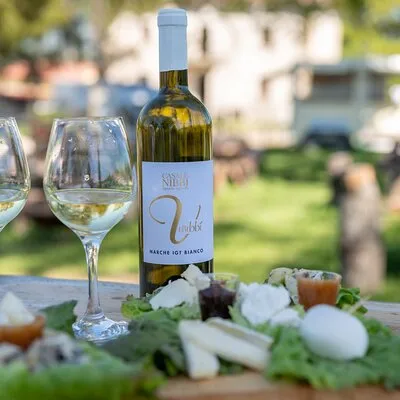 Private Cheese Tasting Experience in Amatrice