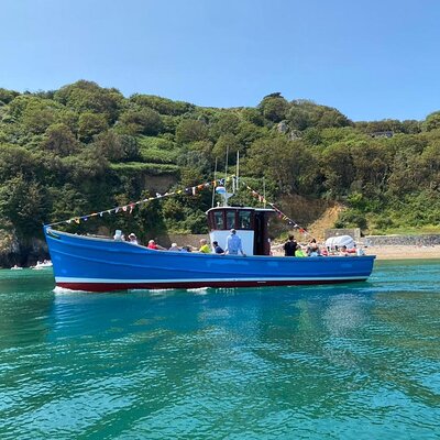 Unrivalled Coastal Tour to Saint's Bay Harbour