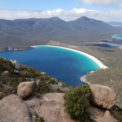 Wild Tasmania Tours