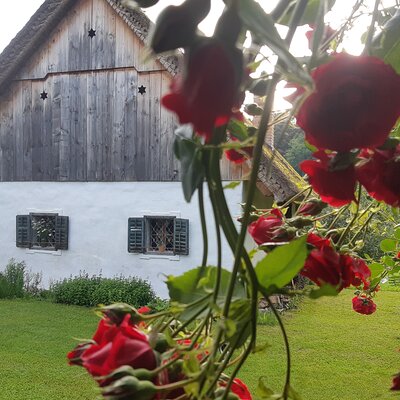 Private Tour in Kamnik - Mammoth - Farmhouse and Organic Farm