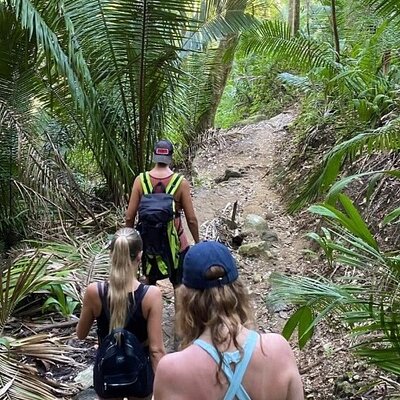Ecocultural Jungle Hike & Secret Beach Experience
