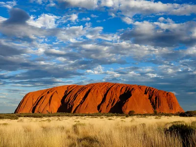Uluru (Ayers Rock) Field of Light Sunrise 2-Hour Tour