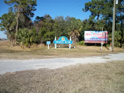 Crystal River Clear Kayak Tours: Three Sisters Springs and Manatee Season, 2 Hours