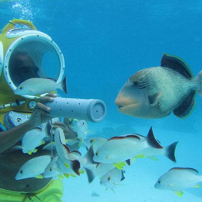 Aquablue Moorea