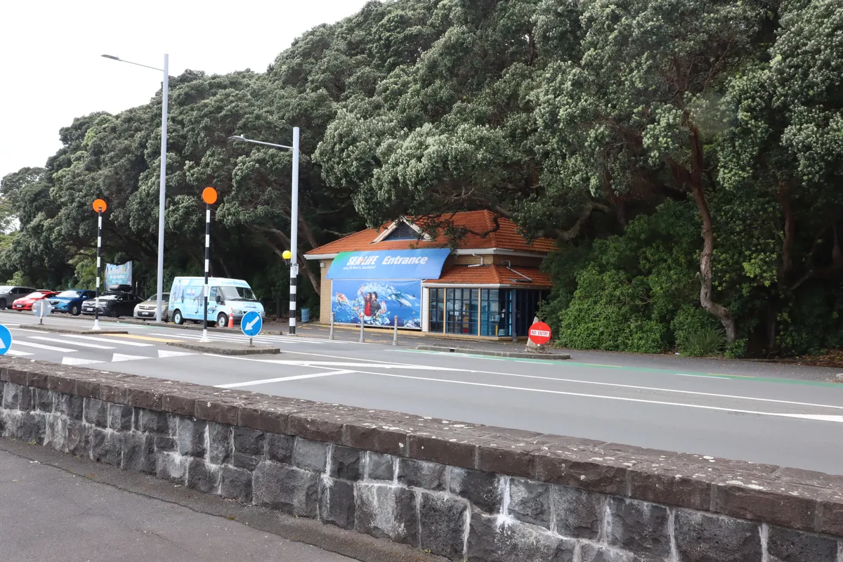 SEA LIFE Kelly Tarlton's Aquarium General Admission Ticket in Auckland