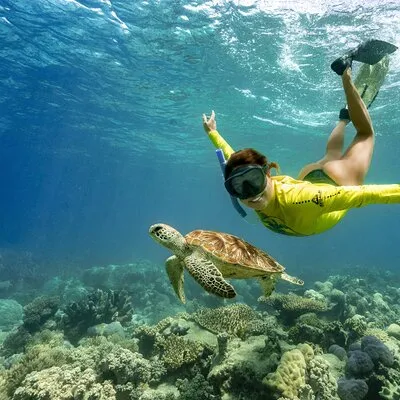Ocean Safari