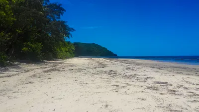 Cape Tribulation Ocean Safari Great Barrier Reef Experience with Turtle Swim
