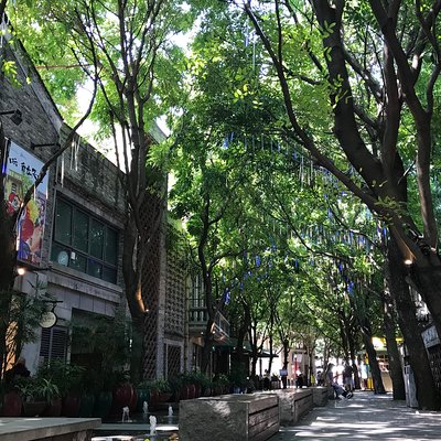Authentic Foshan Walking Tours