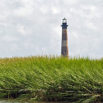 Private Dolphin, Lighthouse and Shelling Adventure (Folly Beach)
