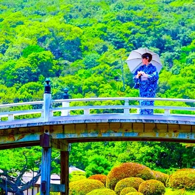 beautiful day tours