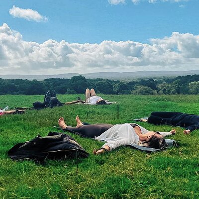 Yoga & Forest Bathing Day Retreat