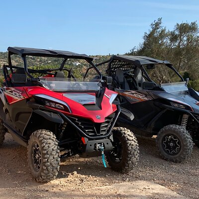 Buggy Safari
