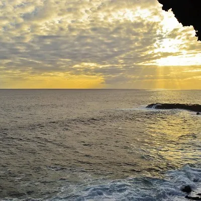 Rapanui Pioneers Society (RPS)