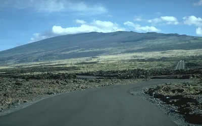 Kona Cloud Forest Sanctuary Montane Jungle Tour (2.5 hrs)