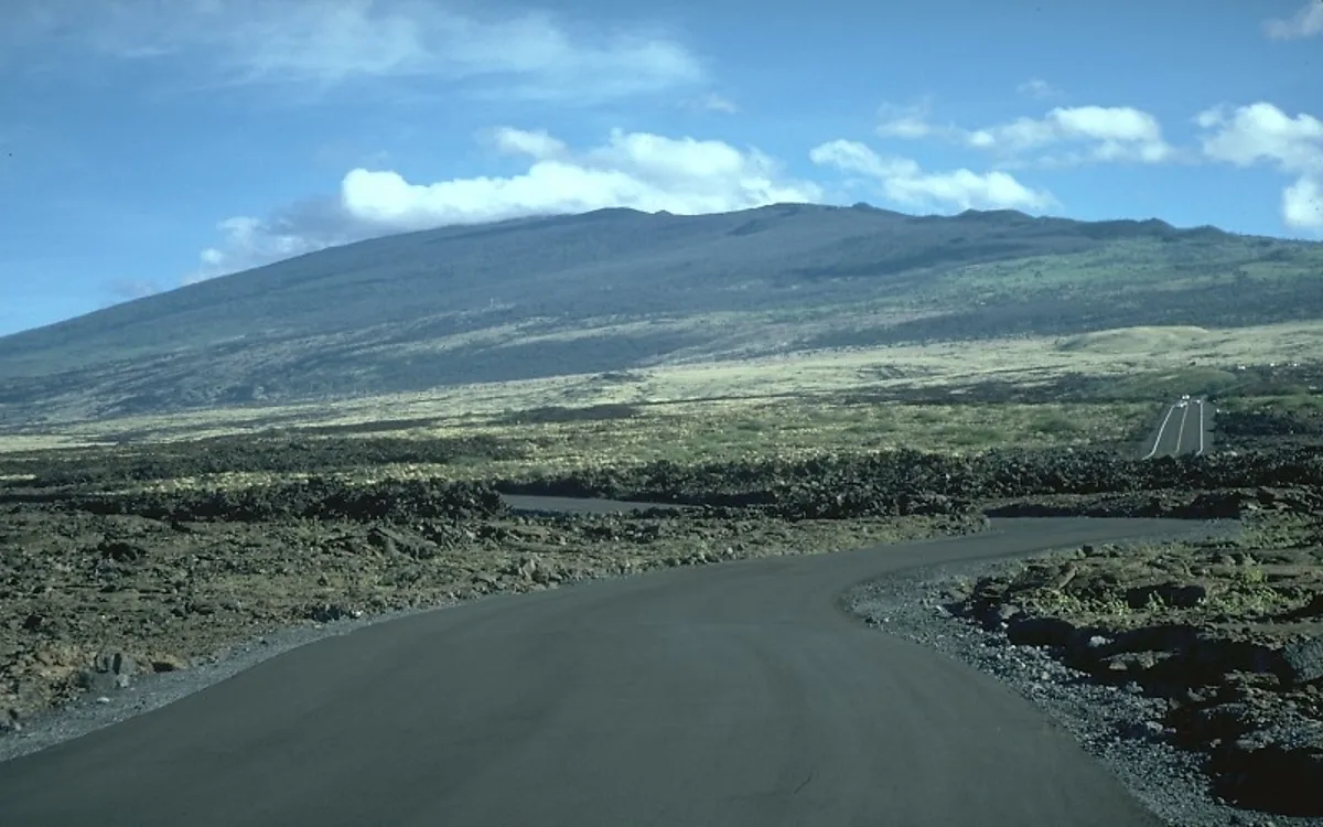 Kona Cloud Forest Sanctuary Montane Jungle Tour (2.5 hrs)