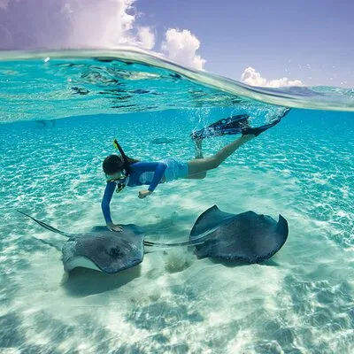 Cayman 3 in 1 Combo: Starfish Point, Stingrays and Reefs