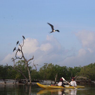 Kayaking Holbox