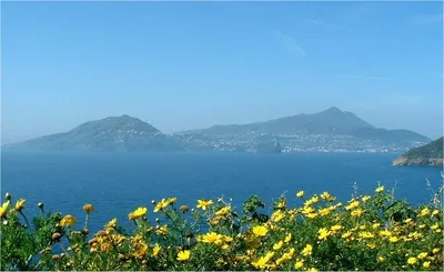 Isola d'Ischia 7-Hour Schooner Tour with Lunch and Snorkeling