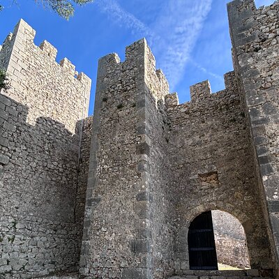 Pexitos - Sesimbra Tours & Experiences
