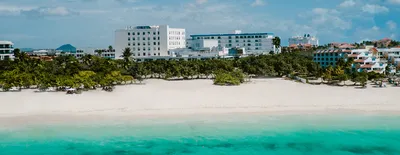 Made in Aruba Sightseeing Tour Including Aloe Factory, Terrafuse Workshop, Aruhiba Cigars, and Rum