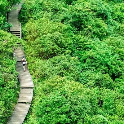 Ashley M Hong Kong Private Tours