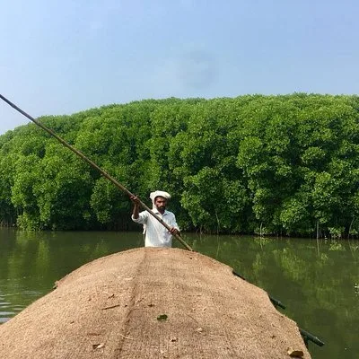 Into the Mangroves: Calicut Mangrove Trail by Tyndis